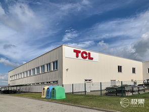 對(duì)話王成 TCL如何在2020年躋身歐洲前三，國內(nèi)貿(mào)易代理又扮演何種角色？